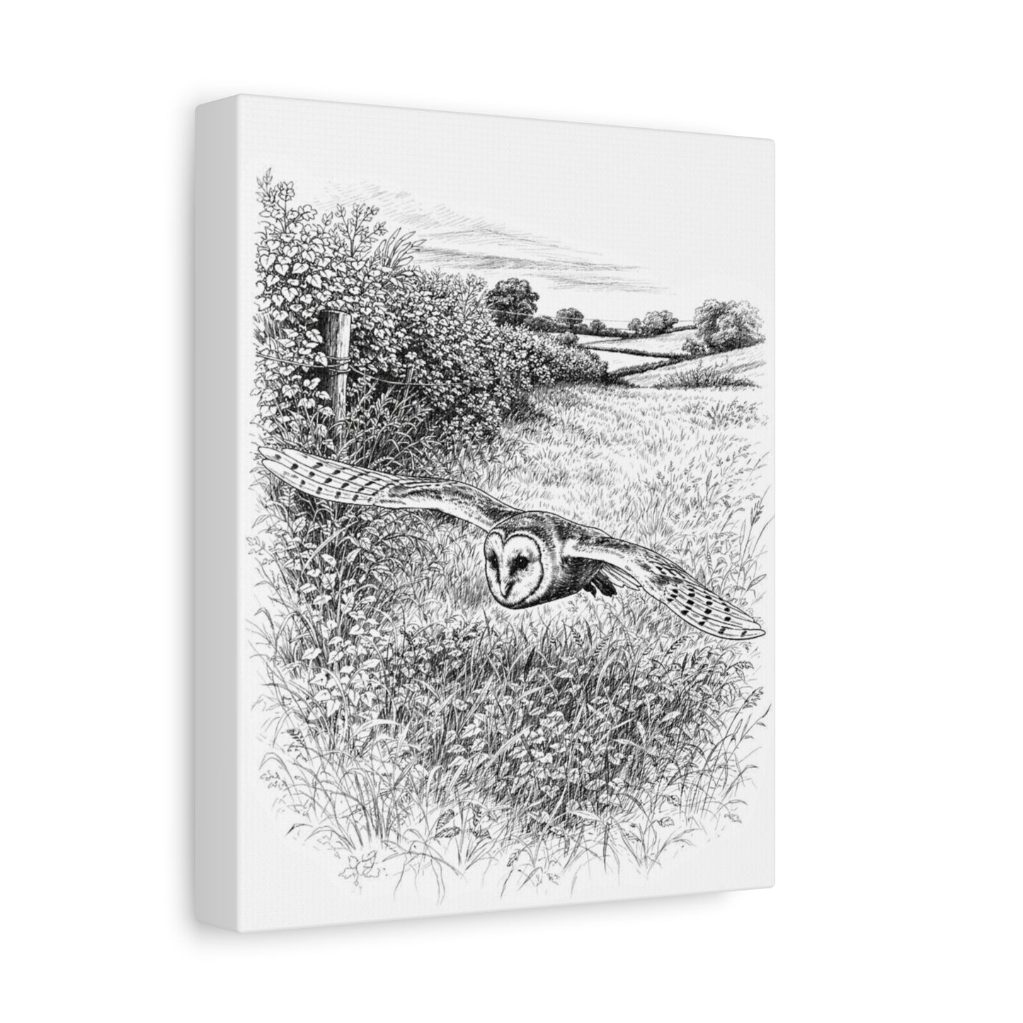 Barn Owl Canvas Wall Art – Wildlife Illustration by L.A. Brown