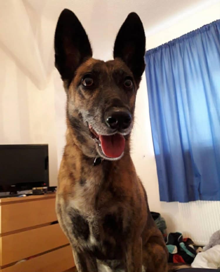 Personalised Laser Engraved Welsh Slate – Digital Artwork